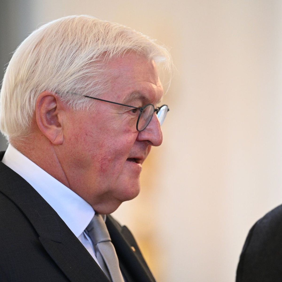 Steinmeier betrachtet das vorgeschlagene Losverfahren mit mit Skepsis. (Archivbild) - Foto: Niklas Graeber/dpa