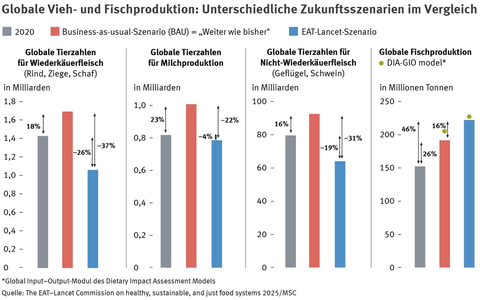 Zum Welternährungstag: Menschheit ernähren und Erde schützen? Fisch und Meeresfrüchte spielen Schlüsselrolle - Foto: presseportal.de