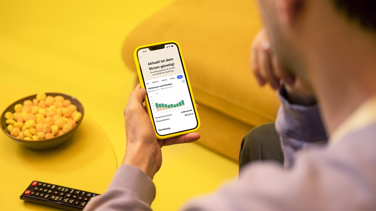 Auf dem Vormarsch: Flexible Stromtarife in Deutschland / Doch welcher Tarif eignet sich für wen? - Foto: presseportal.de