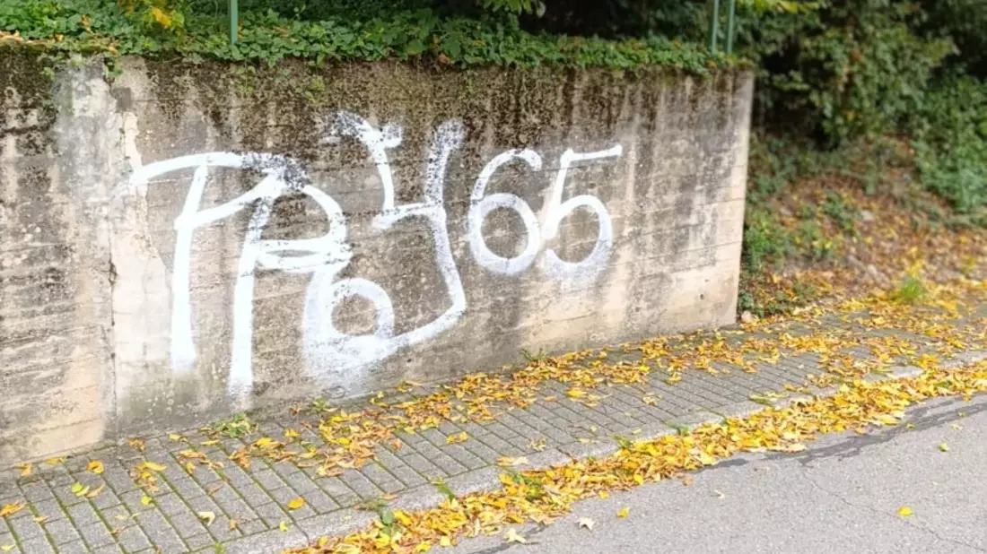 POL-PDTR: Erhebliche Sachbeschädigungen durch Graffiti-Schmierereien in Riveris - Bild: presseportal.de