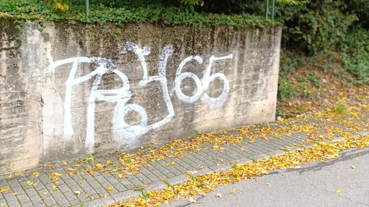 POL-PDTR: Erhebliche Sachbeschädigungen durch Graffiti-Schmierereien in Riveris - Foto: presseportal.de