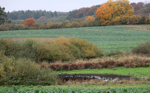 Nach umfangreicher Präsenz ist die Polizei inzwischen aus Klein Upahl abgezogen.  - Foto: Bernd Wüstneck/dpa