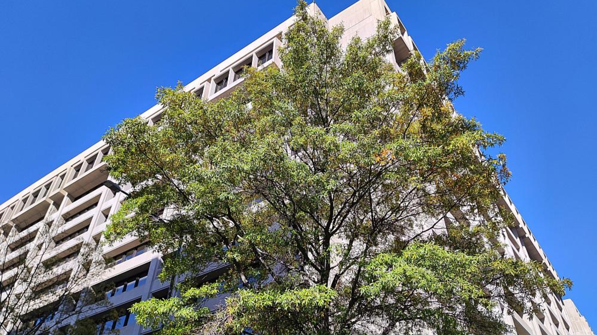 Internationaler Währungsfonds (Archiv) - Foto: über dts Nachrichtenagentur