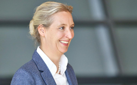 Alice Weidel am 14.10.2025 - Foto: über dts Nachrichtenagentur