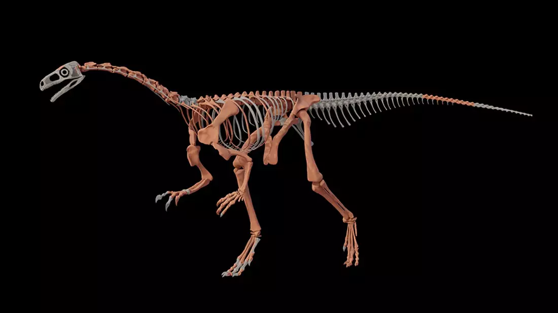 Knochen des Dinosauriers Huayracursor jaguensis - Bild: ---/CONICET Argentina/dpa