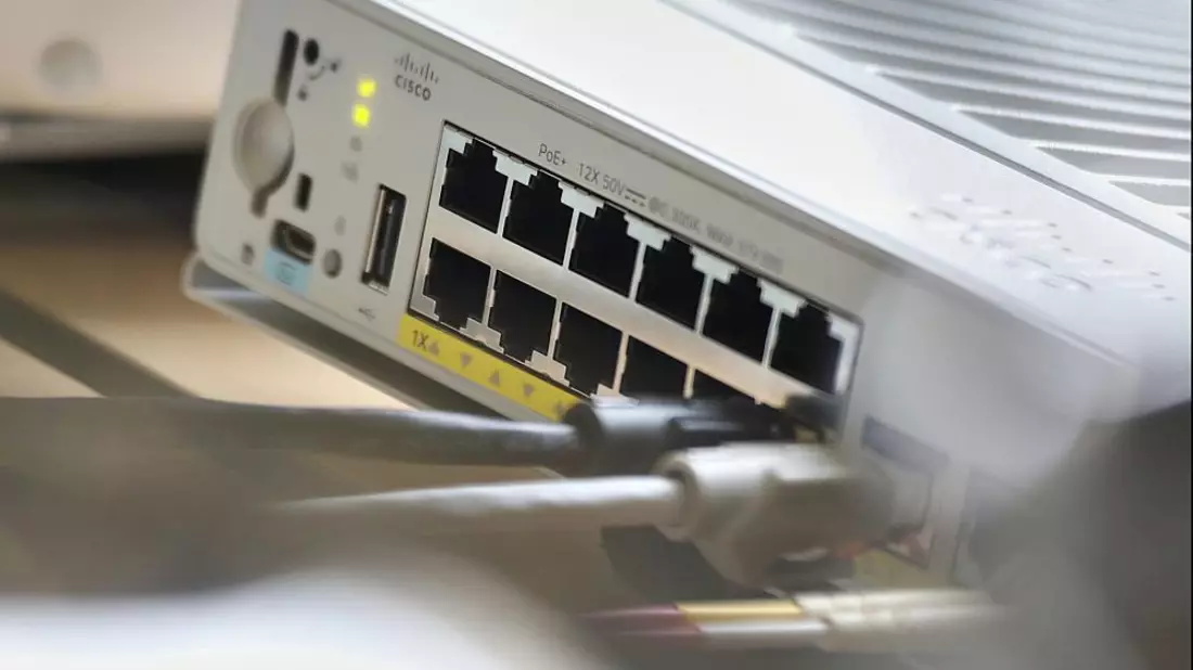 Netzwerk-Patchpanel (Archiv) - Bild: über dts Nachrichtenagentur