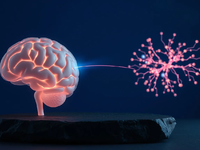 Mikrobiom-Revolution: Wie der Darm die Psyche heilt - Foto: über boerse-global.de