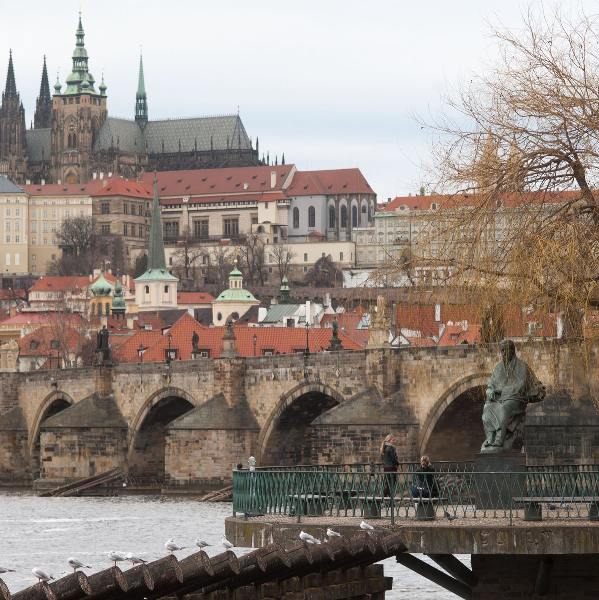 Der erste Stadtbezirk ließ Anfang Oktober ein lokales Referendum zu dem Thema abhalten. (Archivbild) - Foto: Michael Heitmann/dpa