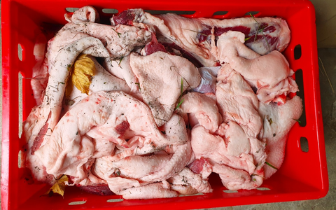 LPI-NDH: Fleischkisten und Scheinekämme suchen ihren Besitzer - Foto: presseportal.de