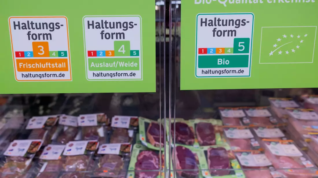 Die großen Handelsketten wollen bis 2030 auf höhere Haltungsformen umsteigen. (Archivbild) - Bild: Rolf Vennenbernd/dpa