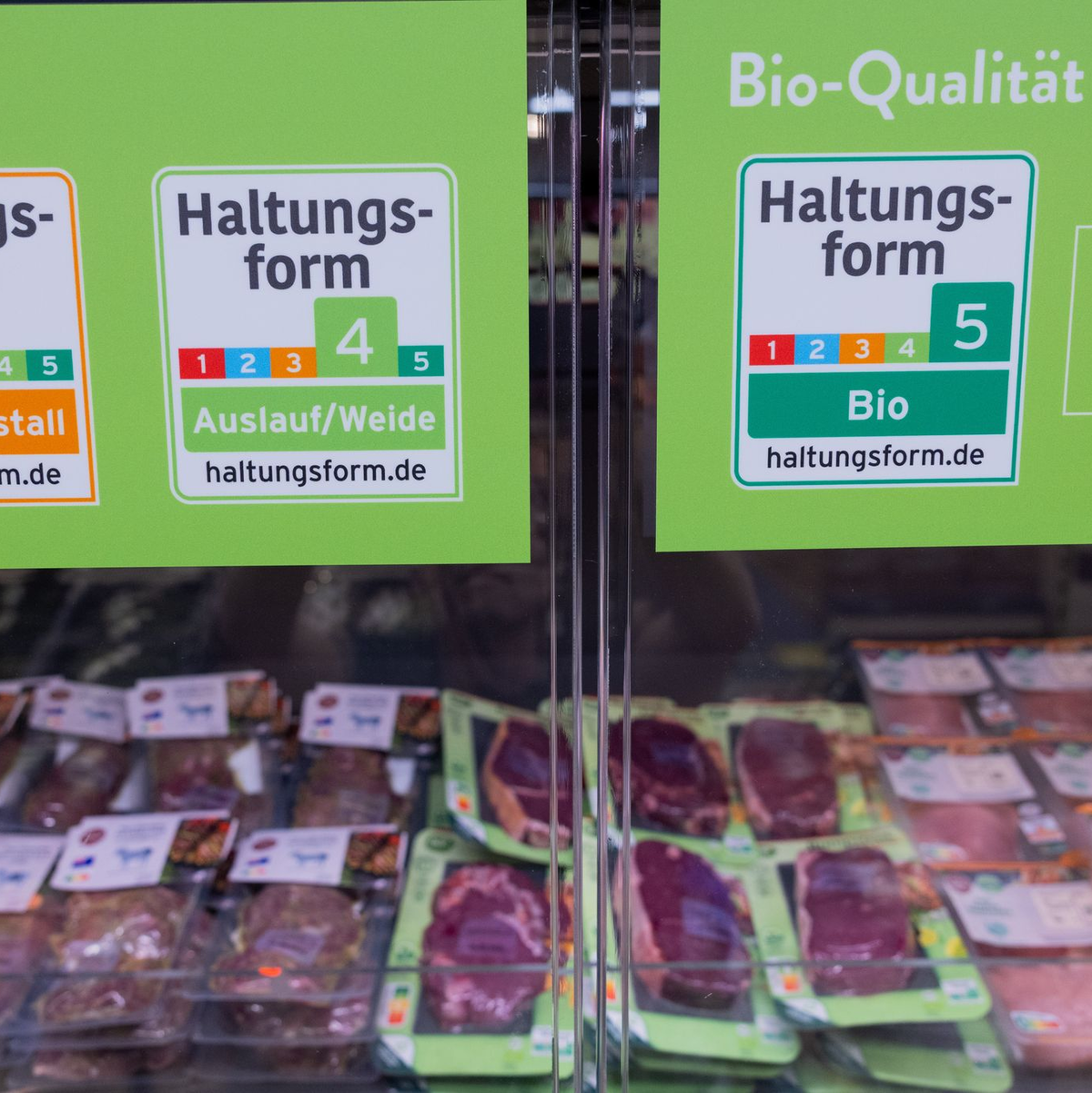 Die großen Handelsketten wollen bis 2030 auf höhere Haltungsformen umsteigen. (Archivbild) - Foto: Rolf Vennenbernd/dpa