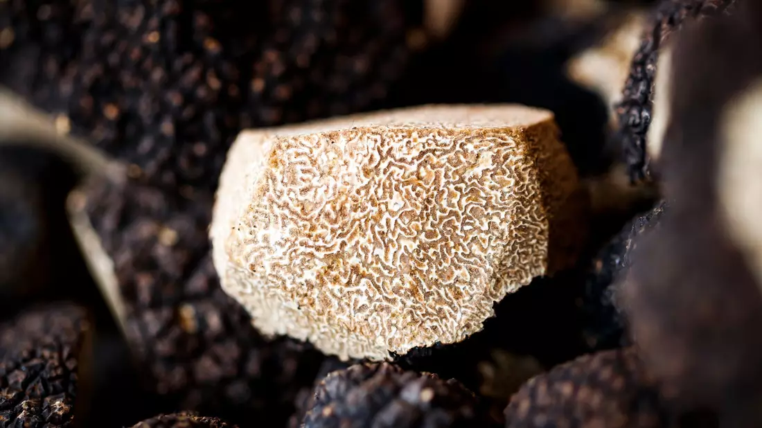 Ein aufgeschnittener Burgundertrüffel (Tuber uncinatum) auf einem Markt in der Schweiz. (Archivbild) - Bild: Valentin Flauraud/KEYSTONE/dpa