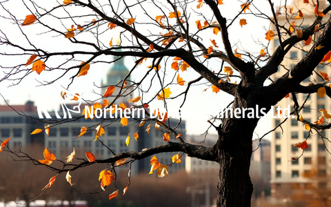 Northern Dynasty Minerals Aktie: Überzeugende Strategie! - Foto: über boerse-global.de