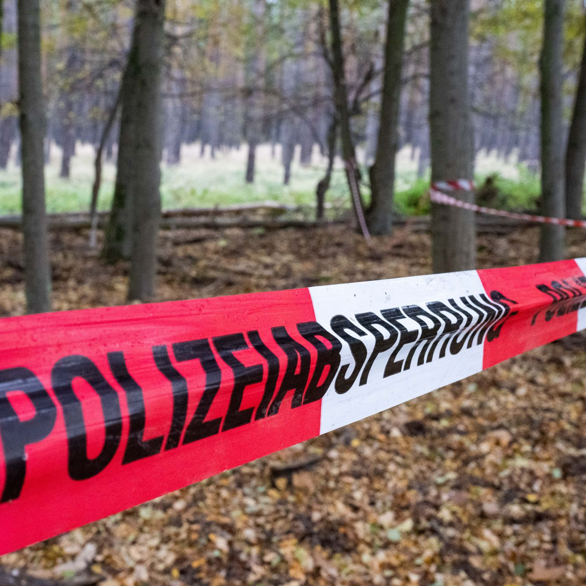 Die Polizei setzt die Ermittlungen im Fall Rebecca fort. (Archivbild)  - Foto: Christophe Gateau/dpa