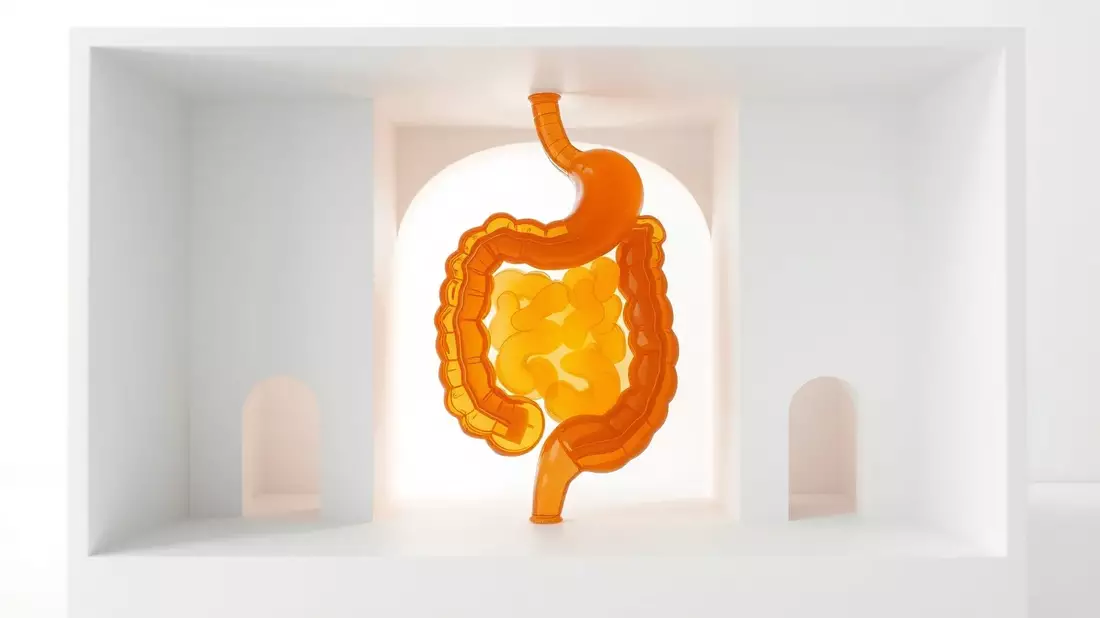 Darmgesundheit: Schüssel zur Krankheitsprävention entdeckt - Bild: über boerse-global.de