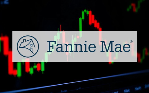 Fannie Mae Aktie: Führungschaos! - Foto: über boerse-global.de