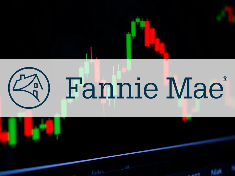 Fannie Mae Aktie: Führungschaos! - Foto: über boerse-global.de