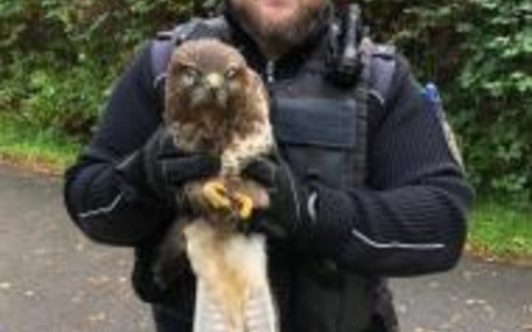 BPOL-FL: IZ - Schutzgewahrsam der anderen Art durch die Bundespolizei auf der A 23 - Foto: presseportal.de