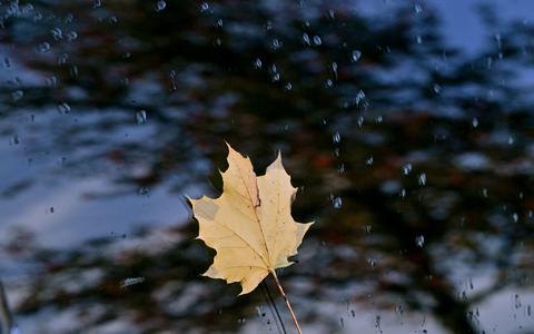 Das Sturmtief «Joshua» bestimmt ab Donnerstag maßgeblich das Wetter in Mitteleuropa. - Foto: Bernd Thissen/dpa
