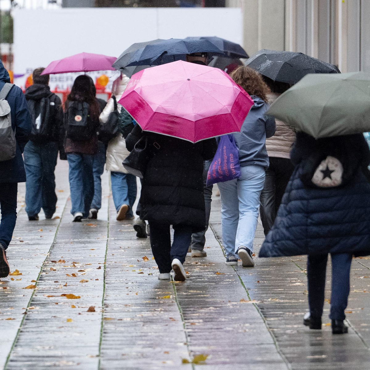 In den Mittelgebirgen, an der Nordsee und auf Alpengipfeln sind laut DWD schwere Sturmböen, teils sogar orkanartige Böen möglich. - Foto: Marijan Murat/dpa