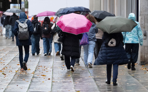 In den Mittelgebirgen, an der Nordsee und auf Alpengipfeln sind laut DWD schwere Sturmböen, teils sogar orkanartige Böen möglich. - Foto: Marijan Murat/dpa
