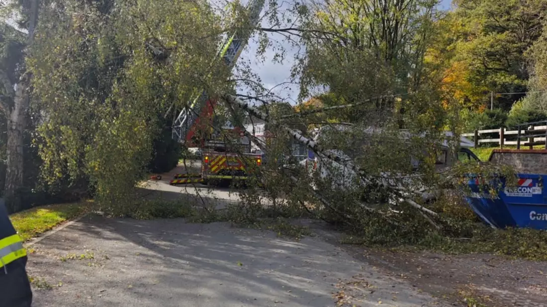 FW-EN: Sturmschaden an der Kleinbeckstraße - Bild: presseportal.de