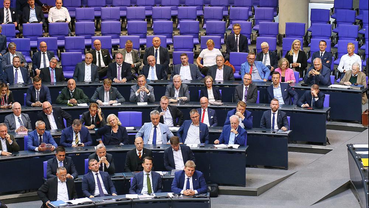 AfD-Fraktion (Archiv) - Foto: über dts Nachrichtenagentur