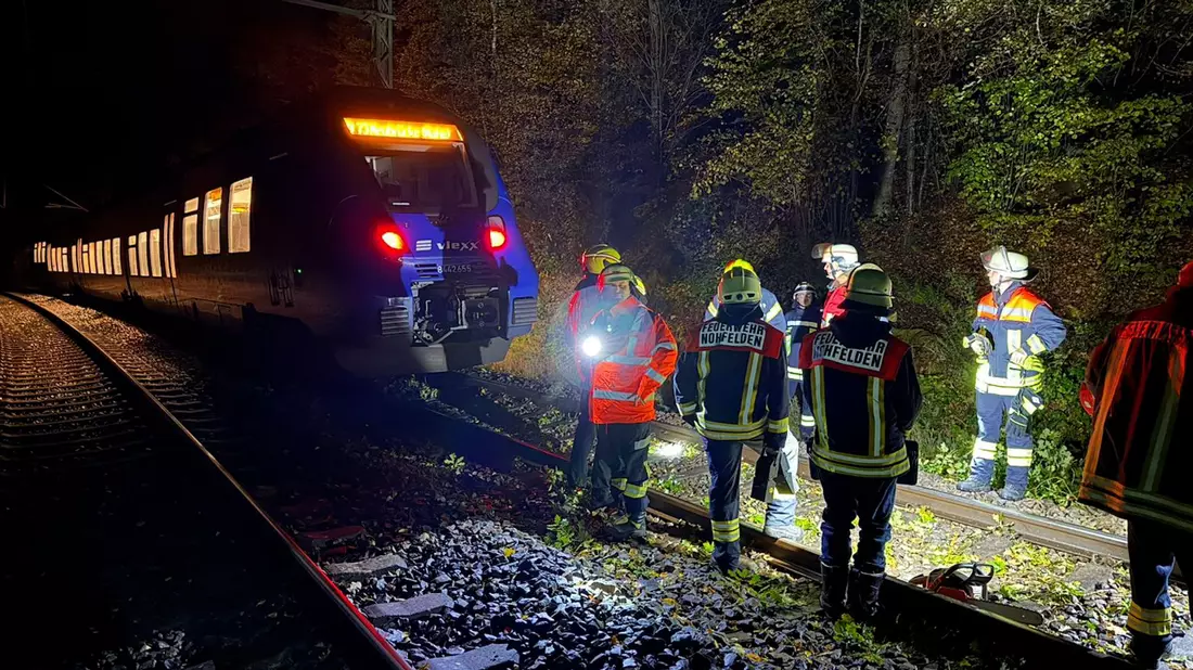 Bei dem Zusammenstoß mit einem Baum wurde kein Passagier des Zuges verletzt.  - Bild: Thorsten Kremers/dpa