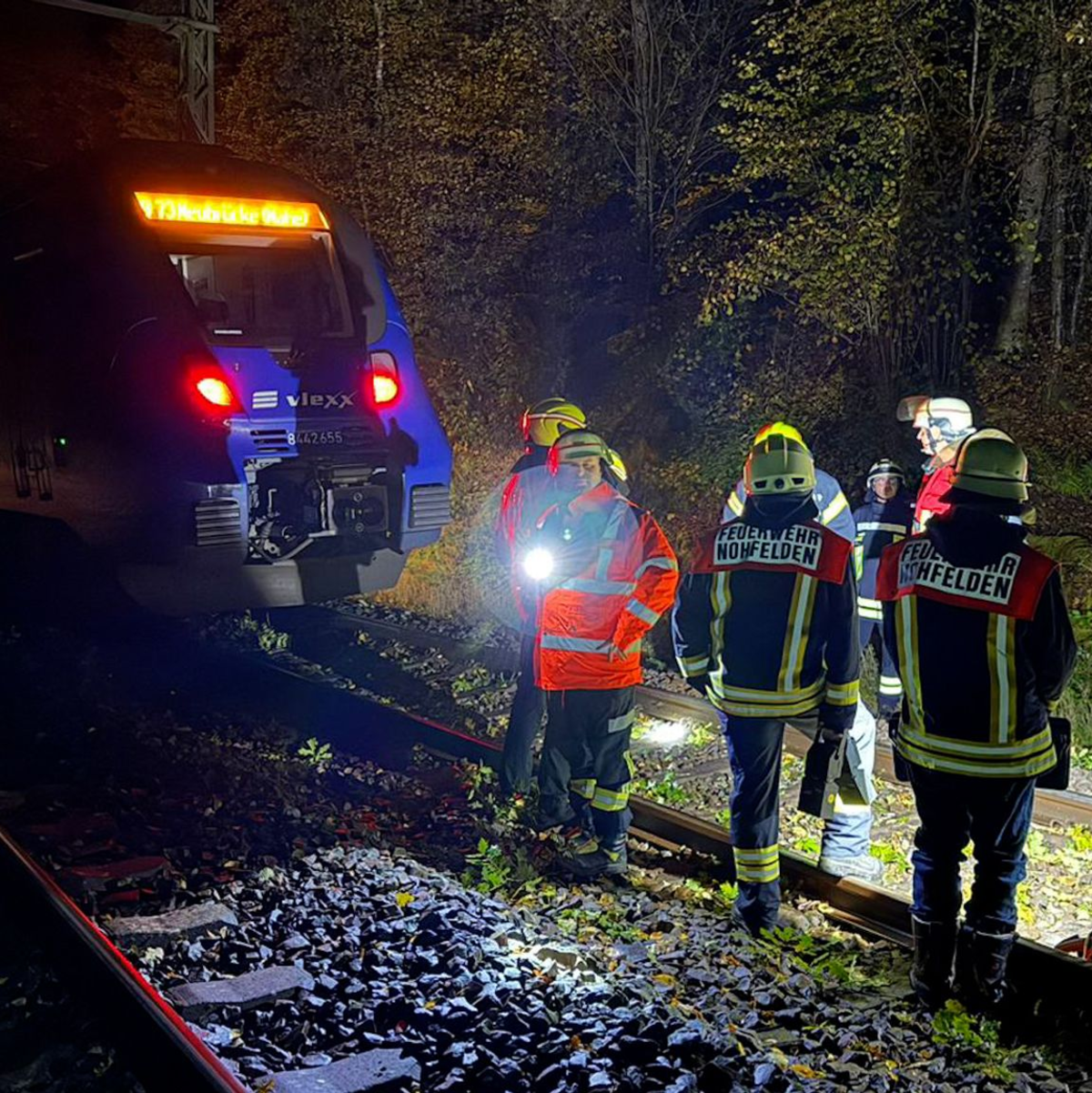 Bei dem Zusammenstoß mit einem Baum wurde kein Passagier des Zuges verletzt.  - Foto: Thorsten Kremers/dpa