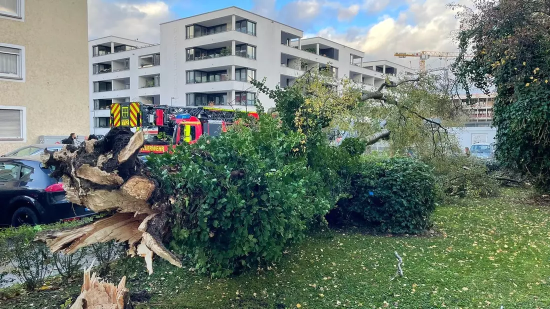 FW Konstanz: Unwetterlage fordert die Feuerwehr - Bild: presseportal.de