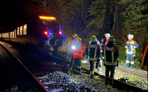 Bei dem Zusammenstoß mit einem Baum wurde kein Passagier des Zuges verletzt.  - Foto: Thorsten Kremers/dpa