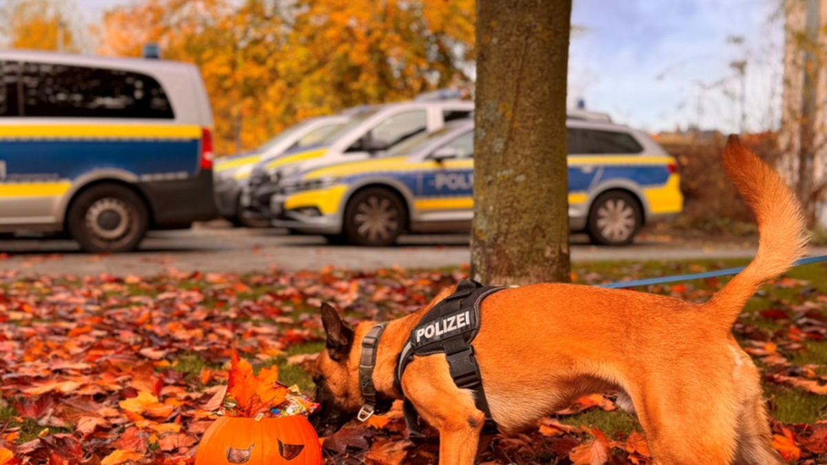 POL-KI: 251024.1 Kiel / Kreis Plön: Die Halloween-Zeit beginnt - sichere und gruselige Tipps - Foto: presseportal.de