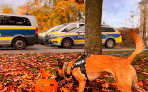 POL-KI: 251024.1 Kiel / Kreis Plön: Die Halloween-Zeit beginnt - sichere und gruselige Tipps - Foto: presseportal.de