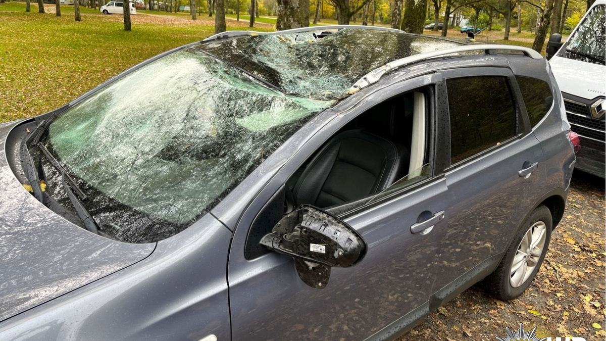 POL-PDKL: Baum stürzt auf Fahrzeugdach - Foto: presseportal.de
