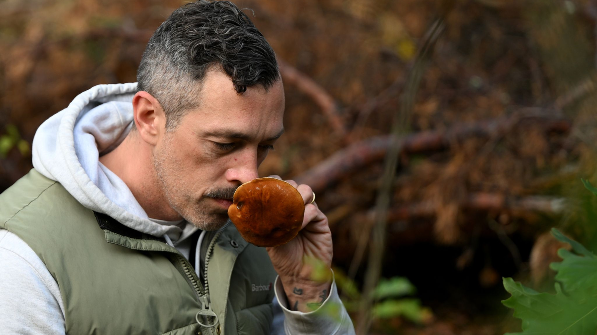 Moritz Schmid unterwegs in seinem Heimatwald. - Foto: Lilli Förter/dpa
