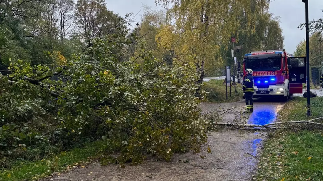 FW-EN: Umgestürzte Bäume auf Radweg - Bild: presseportal.de