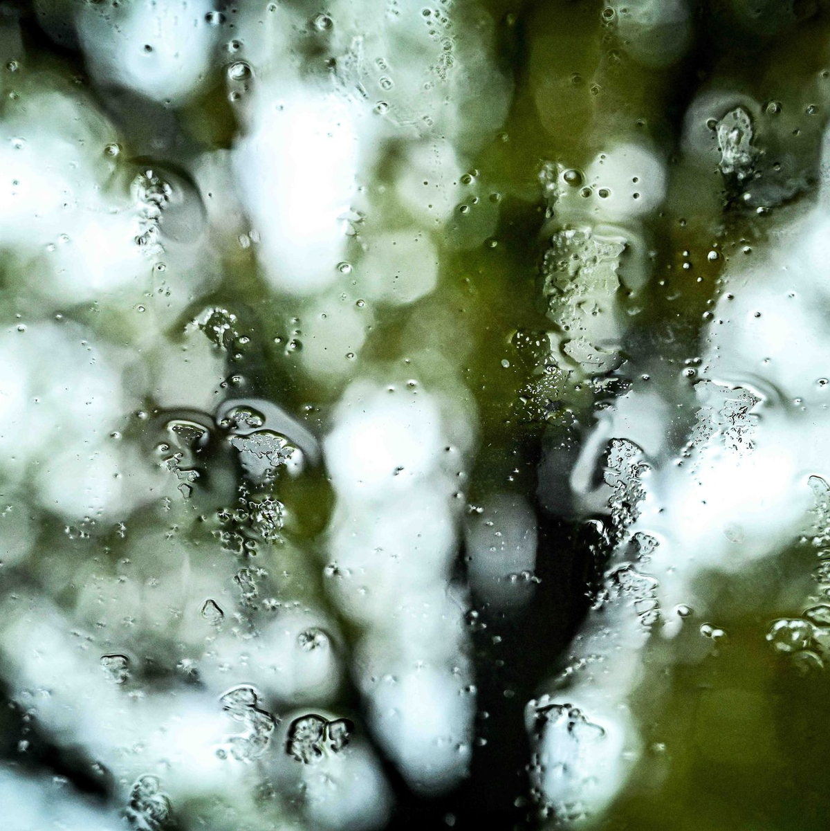 Herbststurm «Joshua» bringt auch immer wieder Regen mit sich.  - Foto: Swen Pförtner/dpa