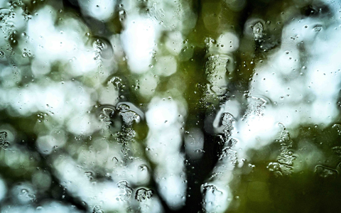 Herbststurm «Joshua» bringt auch immer wieder Regen mit sich.  - Foto: Swen Pförtner/dpa