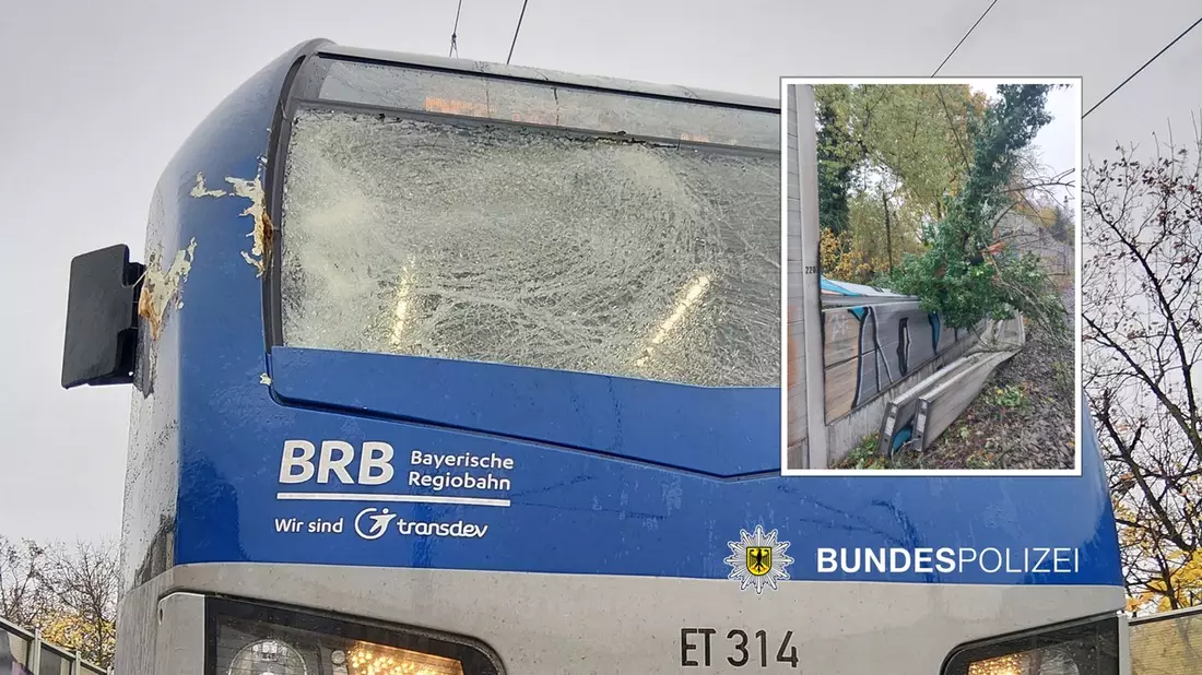 Bundespolizeidirektion München: Umgestürzter Baum auf den Gleisen - Bild: presseportal.de