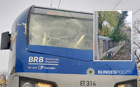 Bundespolizeidirektion München: Umgestürzter Baum auf den Gleisen - Foto: presseportal.de