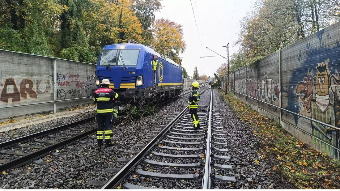 FW-M: Regionalzug kollidiert mit Baum (Giesing) - Bild: presseportal.de