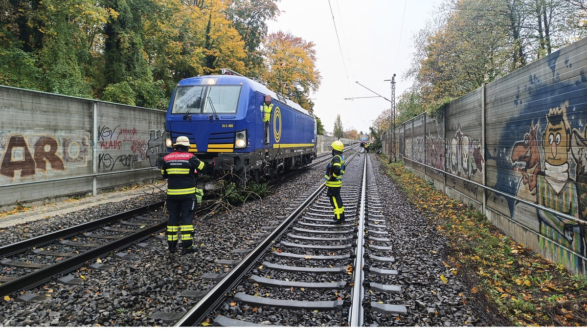 FW-M: Regionalzug kollidiert mit Baum (Giesing) - Foto: presseportal.de