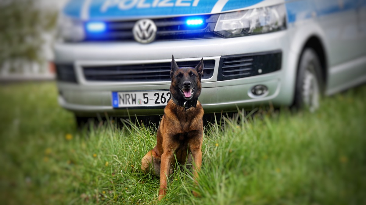 Zum World Happiness Day 2026: Kino macht glücklich / Neue Odeon Cinemas Group-Studie mit Polar zeigt, dass Kino uns intensiver fühlen lässt - Foto: presseportal.de