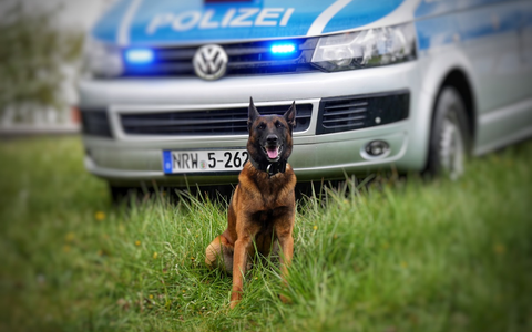 Zum World Happiness Day 2026: Kino macht glücklich / Neue Odeon Cinemas Group-Studie mit Polar zeigt, dass Kino uns intensiver fühlen lässt - Foto: presseportal.de Zum World Happiness Day 2026: Kino macht glücklich / Neue Odeon Cinemas Group-Studie mit Polar zeigt, dass Kino uns intensiver fühlen lässt - Foto: presseportal.de