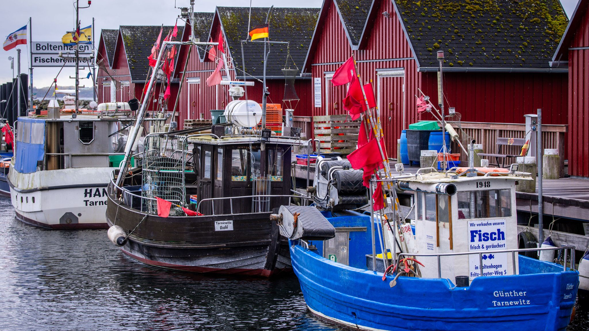 Trotz Sorgen um Dorsch und Hering: Für die deutschen Ostsee-Fischer bleibt fast alles beim Alten. (Symbolbild) - Foto: Jens Büttner/dpa