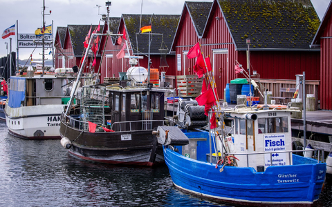 Trotz Sorgen um Dorsch und Hering: Für die deutschen Ostsee-Fischer bleibt fast alles beim Alten. (Symbolbild) - Foto: Jens Büttner/dpa Trotz Sorgen um Dorsch und Hering: Für die deutschen Ostsee-Fischer bleibt fast alles beim Alten. (Symbolbild) - Foto: Jens Büttner/dpa