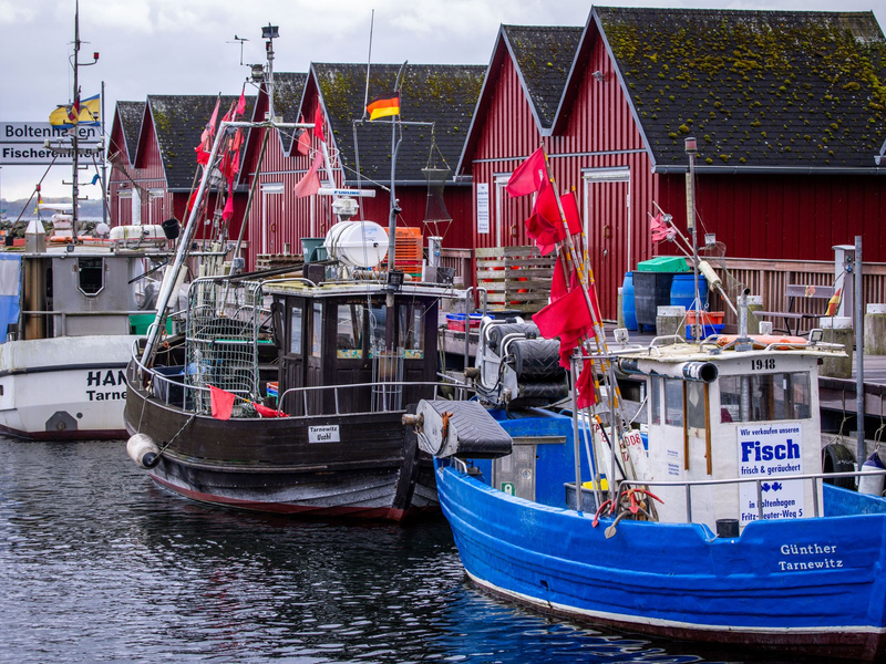 Trotz Sorgen um Dorsch und Hering: Für die deutschen Ostsee-Fischer bleibt fast alles beim Alten. (Symbolbild) - Foto: Jens Büttner/dpa