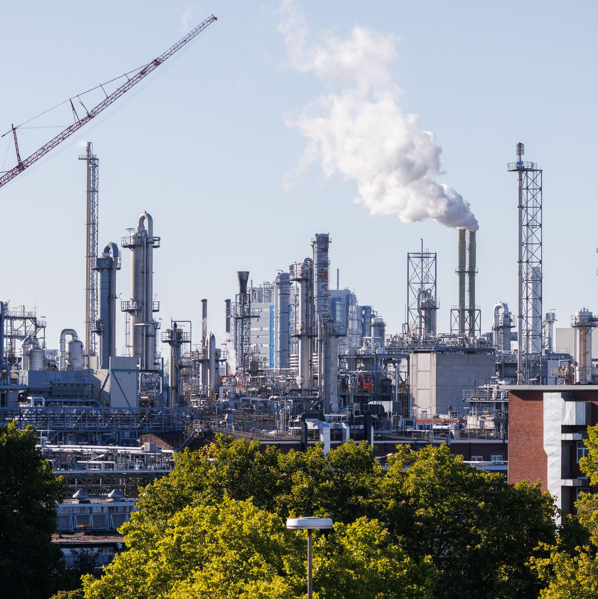 Spürt die schwache Nachfrage: der weltgrößte Chemiekonzern BASF. (Archivbild) - Foto: Lando Hass/dpa