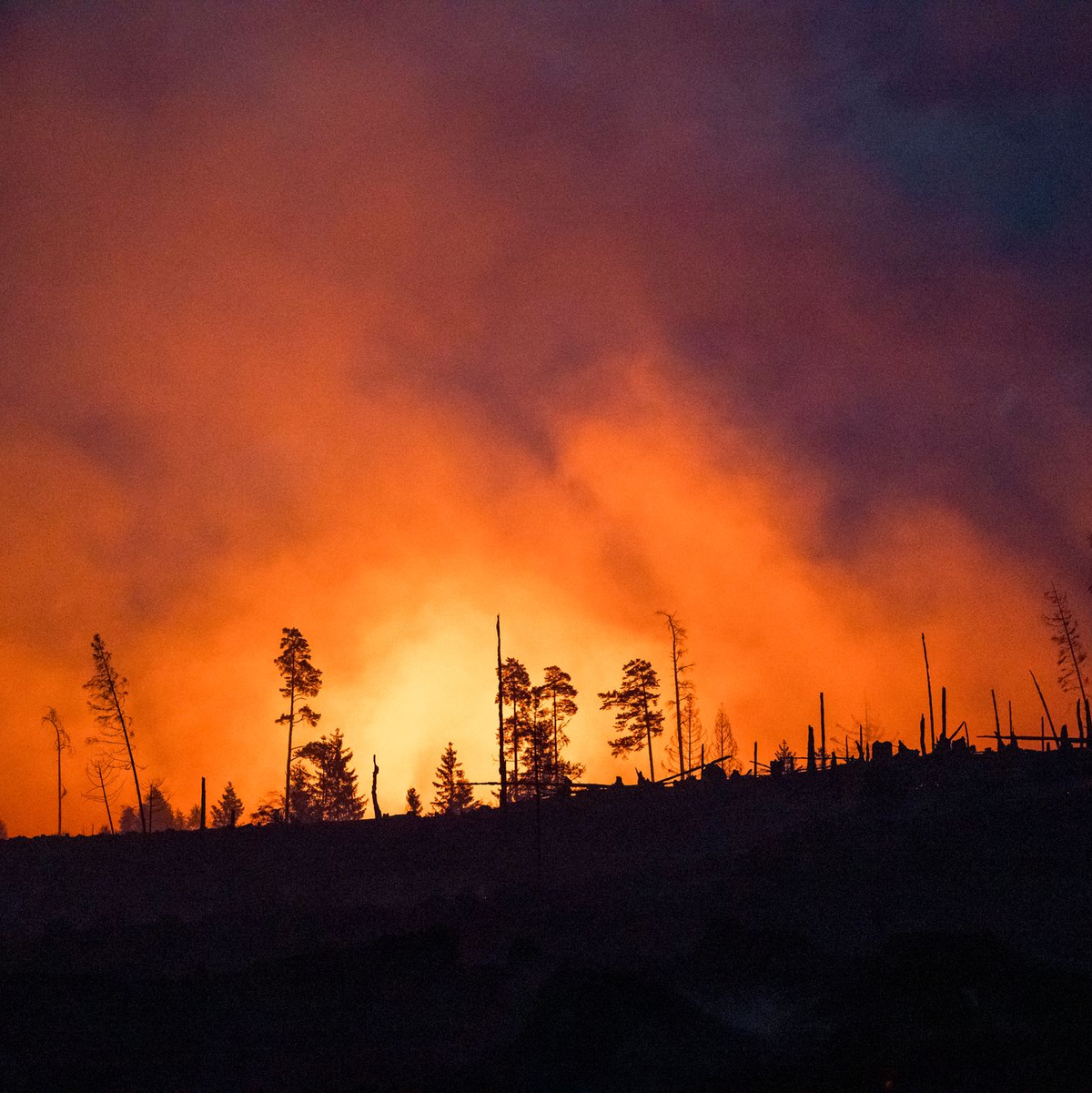 Waldbrände fachen mit ihren Emissionen die Erderwärmung zusätzlich an. (Illustraiton) - Foto: Daniel Vogl/dpa