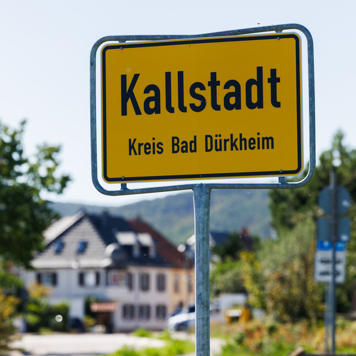  In Kallstadt wuchs Trumps Großvater Friedrich auf, bevor er 1885 in die USA auswanderte. (Archivbild) - Foto: Lando Hass/dpa